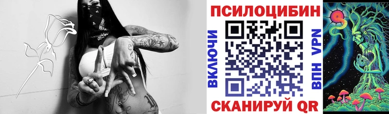 Псилоцибиновые грибы Cubensis Зуевка